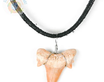Fossilized Shark Tooth Necklace - Black Suede