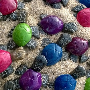 Miley the Colored Marble Turtle