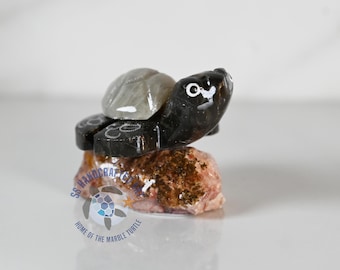 Timmy the Marble Turtle on base