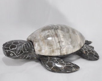 Mateo the Marble Turtle