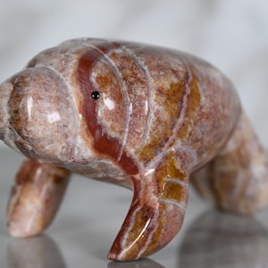 Marley the Marble Manatee