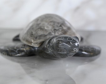 Saylor the Marble Turtle