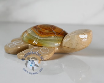 Peggy the Light Body, Natural shell Marble Turtle
