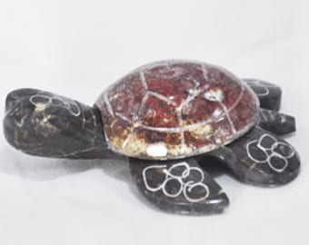 Doug the Marble Turtle