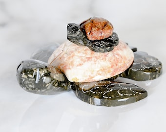 Fiona & Baby Peanut the Marble Turtle with baby
