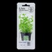 see more listings in the Sealed potted plants section