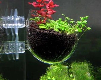 2pcs Crystal Glass Aquatic Plant Cup Pot Holder with Suction Cups and planting box for Fish Tank