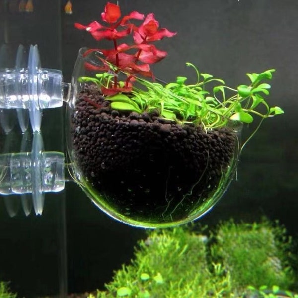 Fish Tank Suction Cups Etsy