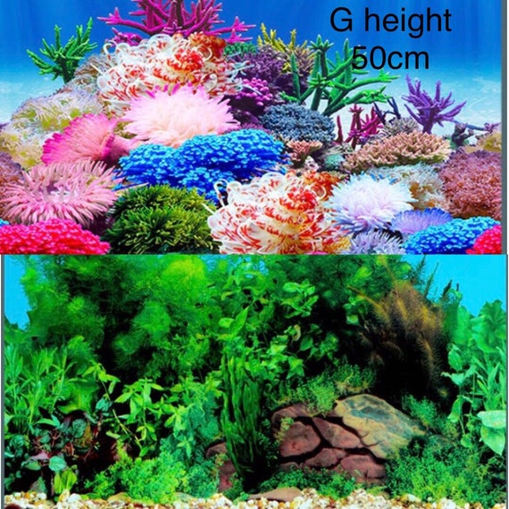 Twisted snor duizelig Height 50cm 20inch Aquarium Background Fish Tank Decorations - Etsy