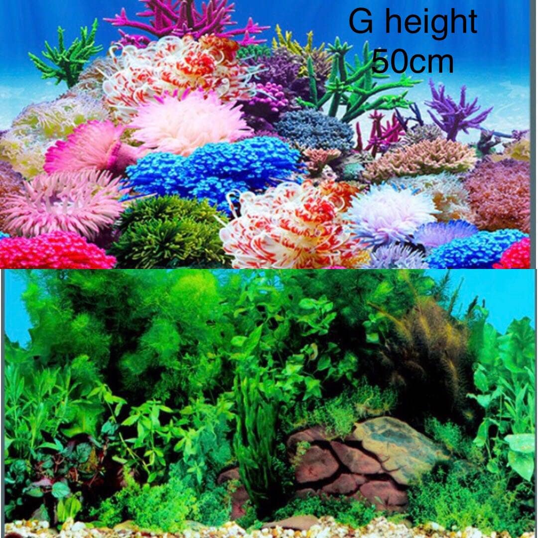Height 50cm 20inch Aquarium Background Fish Tank Decorations Etsy