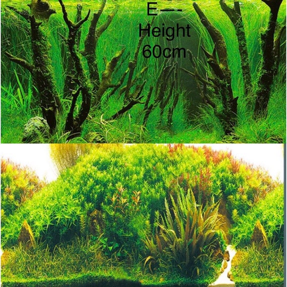 Height 60cm 24inchaquarium Background Fish Tank Decorations Pictures PVC  Adhesive Poster Water Grass Style Backdrop Decoration Paper 