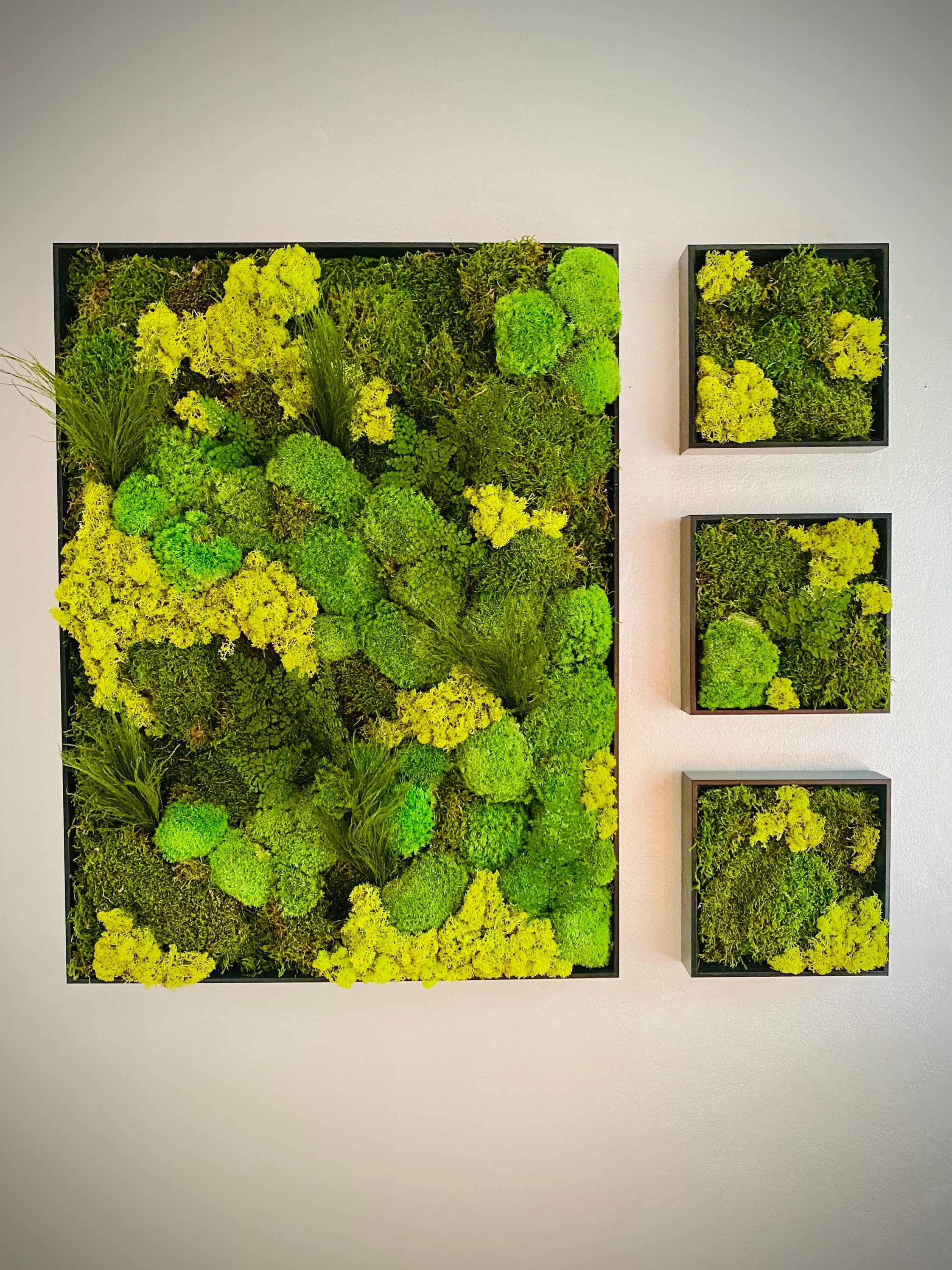 Cadre Mural en 3 Mousses et Feuillage Stabilisés