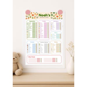 May include: A framed "Noah's Weaning Chart" with colorful illustrations of fruits and vegetables. The chart is divided into sections for vegetables, fruits, allergens, dairy, protein, herbs & spices, grains, and other foods. A teddy bear and vase are in the foreground.