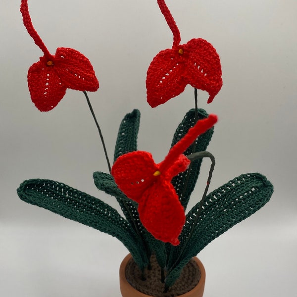 Masdevallia Orchid, handmade crochet flowers