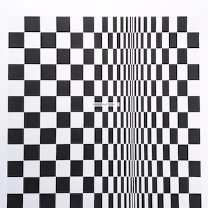 Bridget Riley original exhibition poster Fine Art Wall Print Wall Art Decor Home Office Modern Wall Decor Wall Art Stylish Wall Decoration