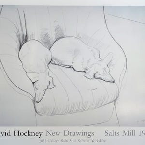 May include: A black and white pencil drawing of two dogs sleeping on a striped couch. The drawing is titled "David Hockney New Drawings Salts Mill 1994".