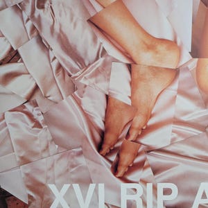 David Hockney Poster XVI RIP ARLES Theresa Russel original authentisches 1980er Jahre seltenes und Vintage Poster Bild 6