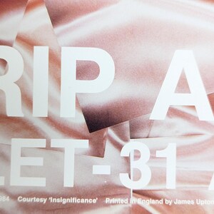 David Hockney Poster XVI RIP ARLES Theresa Russel original authentisches 1980er Jahre seltenes und Vintage Poster Bild 5