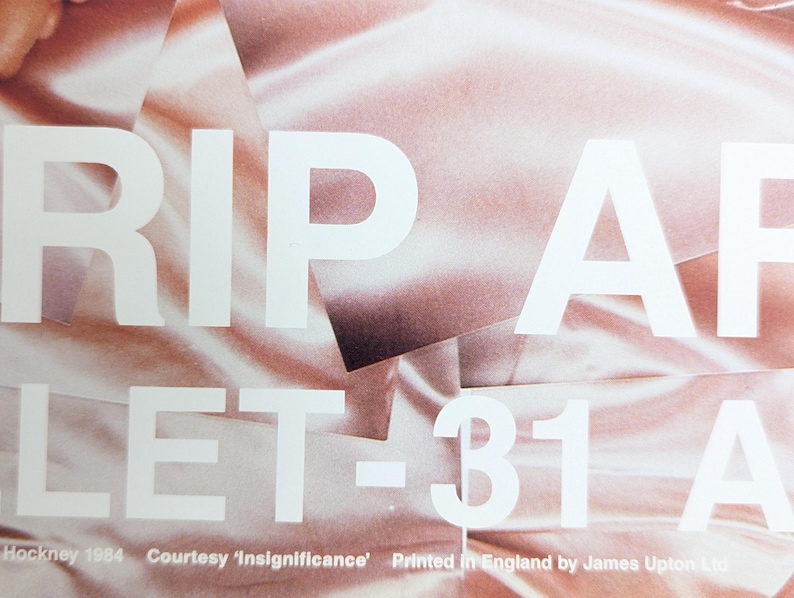 David Hockney Poster XVI RIP ARLES Theresa Russel original authentisches 1980er Jahre seltenes und Vintage Poster Bild 5