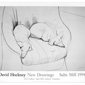 May include: Black and white line drawing of two dogs sleeping in a striped armchair. The drawing is titled "David Hockney New Drawings Salts Mill 1994".