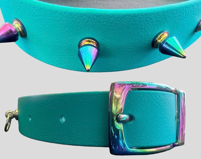 Metallic rainbow spiked biothane collar