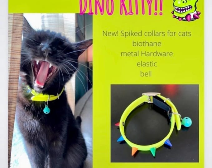 Featured listing image: Dino Kitty Biothane Collars