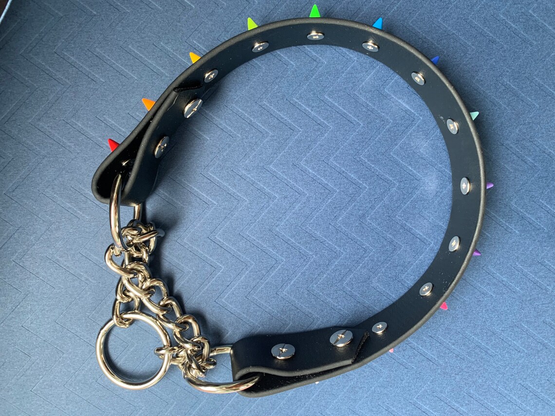Custom Spiked Martingale Dog Collar Etsy