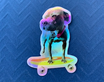 Holographic skatin pit bull sticker!