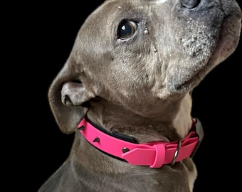 Double layer BioThane collar