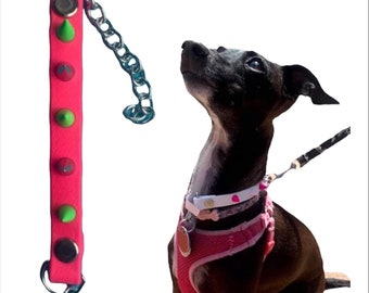 Dog Collars