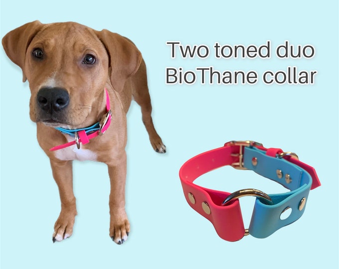 2 color duo BioThane dog collar