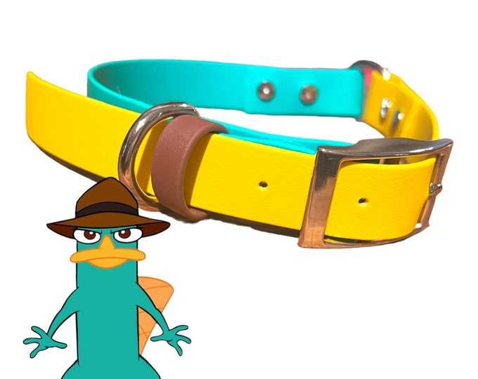 Perry the Platypus collar