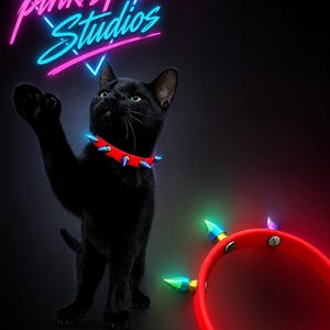 May include: A black cat wearing a red collar with iridescent spikes, positioned next to a matching red collar with iridescent spikes. Above the cat, the text "pink spike! Studios" appears in a neon pink and blue glowing font against a dark background.