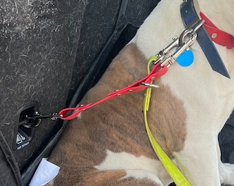 Pet accessories