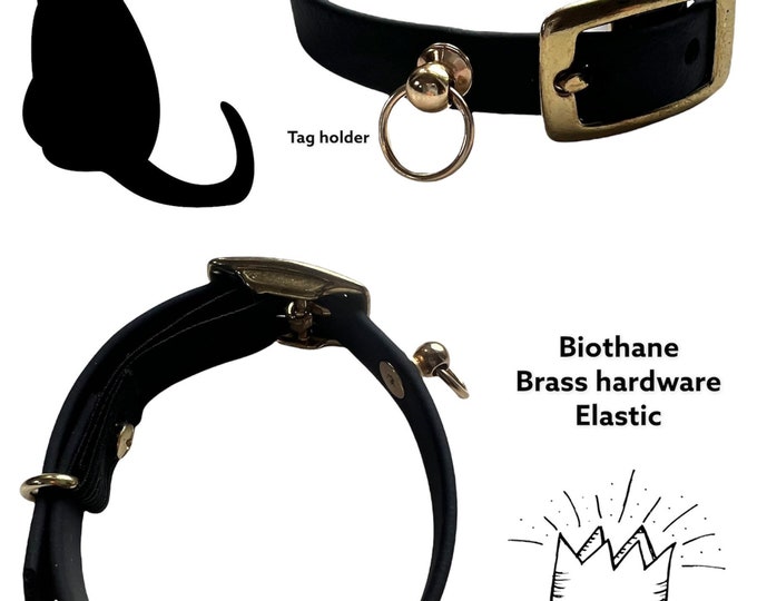 Golden Kitty Biothane Collars