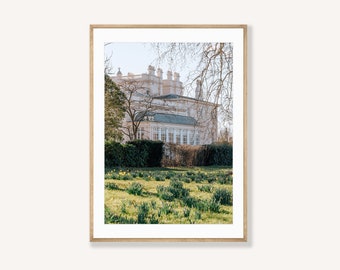 Daffodils at Regents Park - Spring decor - London photographic print