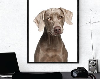 Great Gift for Weimaraner lovers Weimaraner Personality Trait Poster