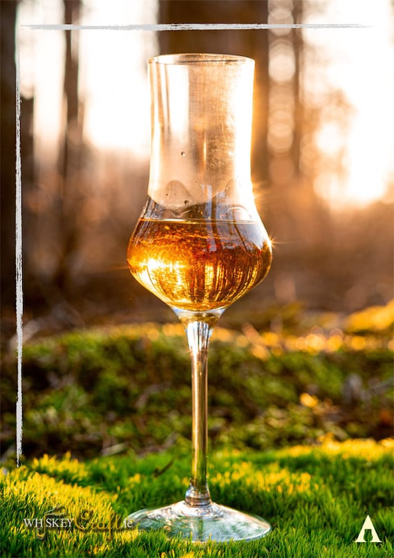 Amber Whiskey Tasting Grappa Style Glass