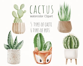Watercolor Cactus Clipart, Succulents, Aloe Vera (Digital Download)