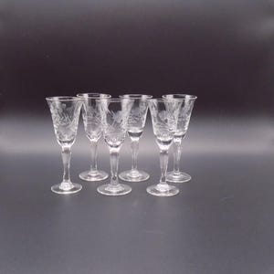 Vintage Set of 6 Floral and Leaves Handblown and  Etched Liqueur / Aperitif Glasses