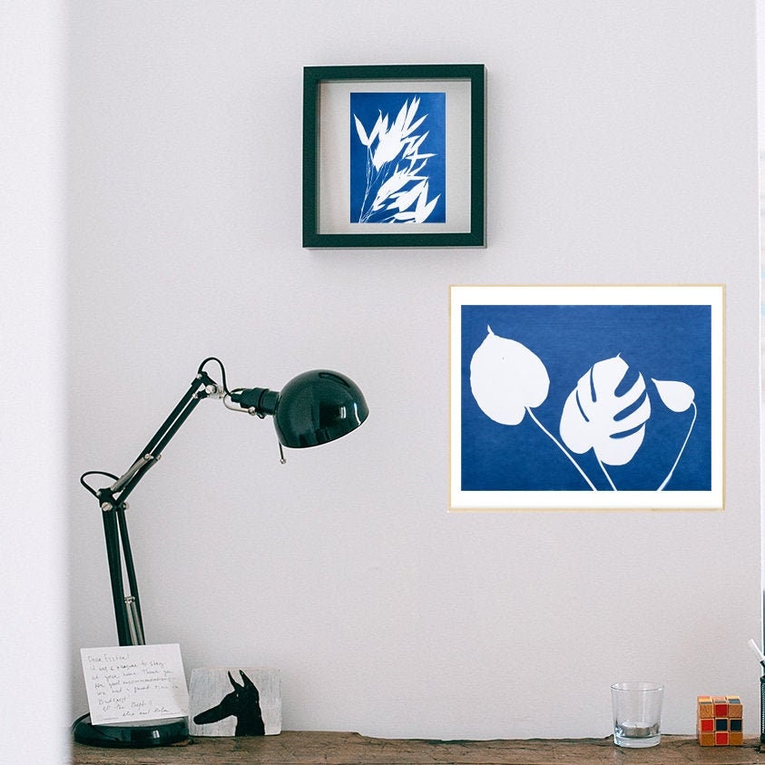 Cyanotype Botanique