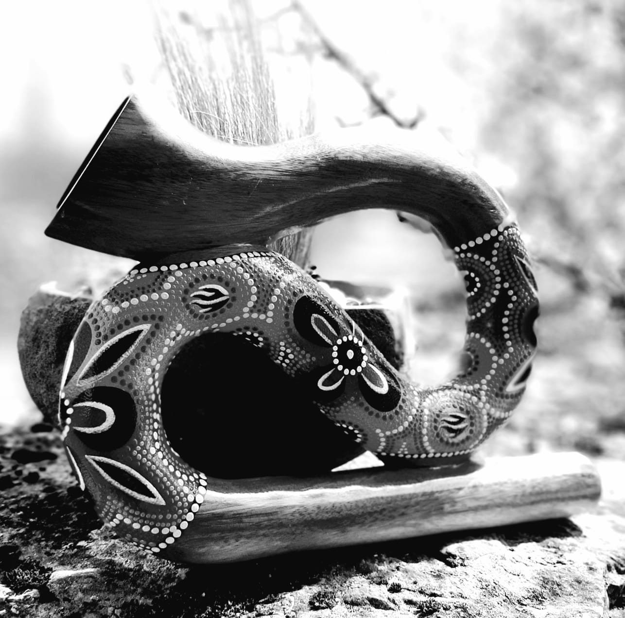 Spiral Wooden Didgeridoo Etsy