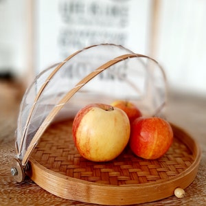 Fruit cheese cloche Bamboo pantry 30 cm