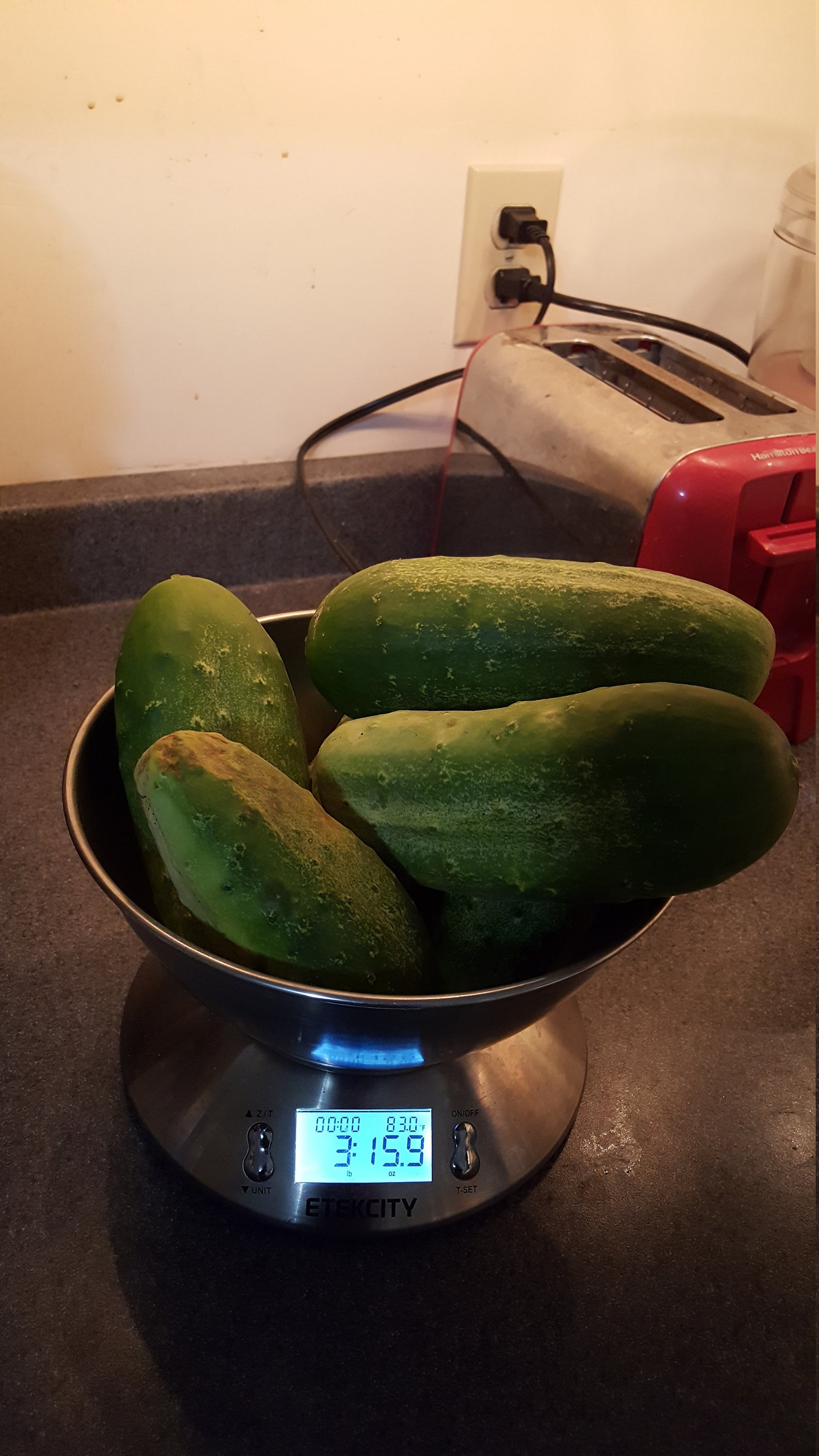 AMAZING Cucumber Seeds Kirby Pickling Cukes 30 Seeds Etsy