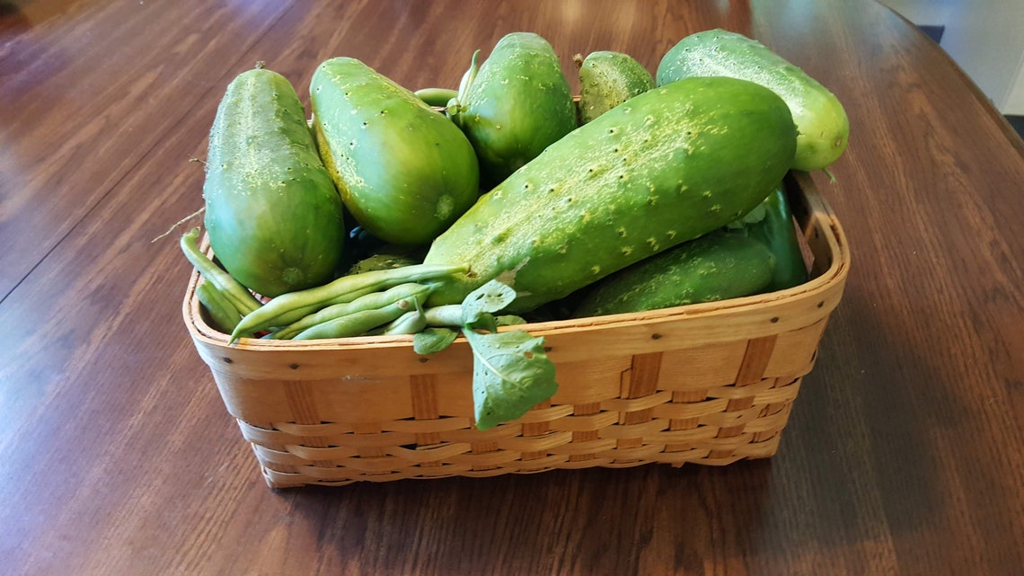 AMAZING Cucumber Seeds Kirby Pickling Cukes 30 seeds Etsy