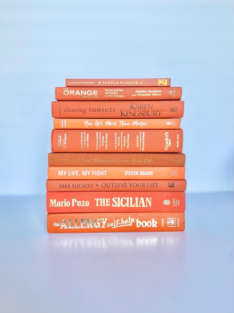 Aesthetic Book Shelf Decor Orange Book Decorate With Books Colorful Bookshelf Aesthetic Gift Book Lover Home Library Design Decorative Book image 8