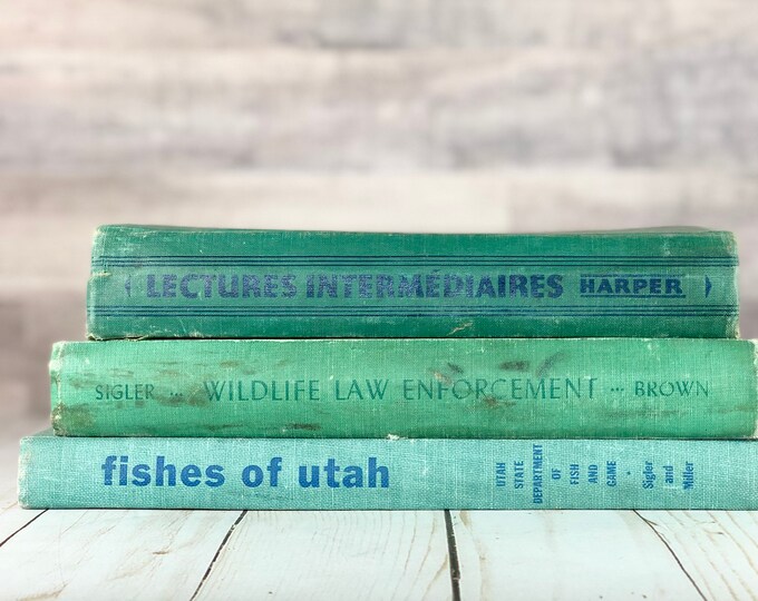 Antique Bookshelf Decor Real Vintage Book Bundle Home Etsy
