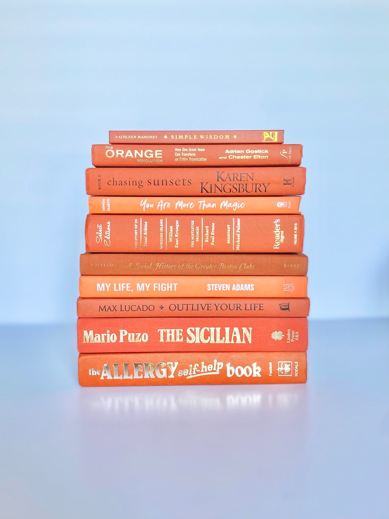 Aesthetic Book Shelf Decor Orange Book Decorate With Books Colorful Bookshelf Aesthetic Gift Book Lover Home Library Design Decorative Book image 3