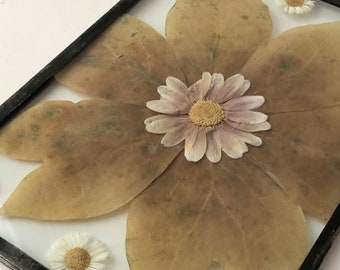 Pressed Flowers,  Framed Flowers, Flowers Framed, Framed Dried Flowers, Botanical Art, Floral Decor, Boho Decor