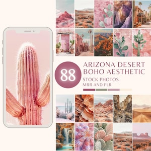 Foto stock del deserto dell'Arizona, foto di cactus nel deserto dell'Arizona, canyon del deserto, stampe murali della galleria di cactus boho, foto di siti Web e social media